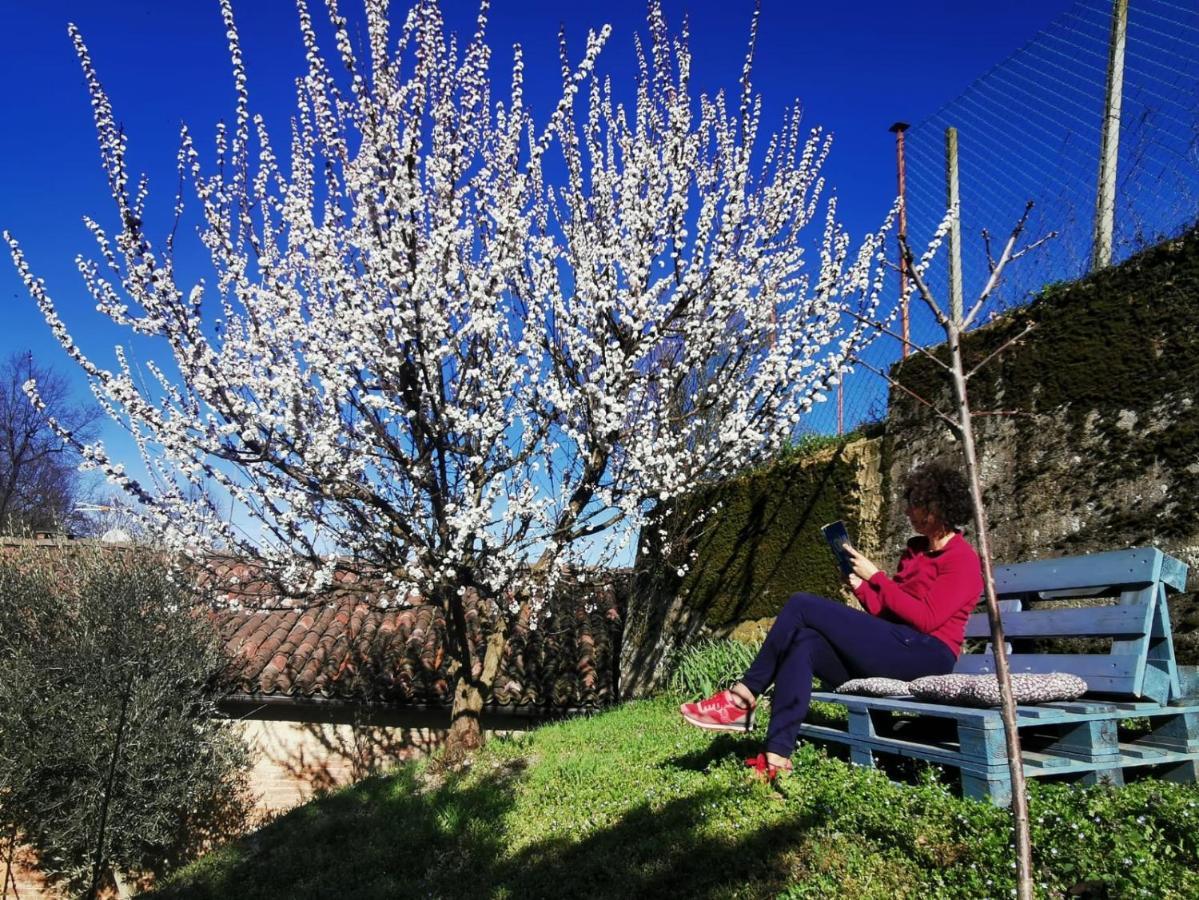 Casa Graziella- Appartamenti Vacanze Portacomaro Bagian luar foto